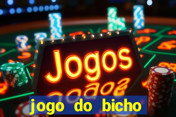 jogo do bicho crash bingo